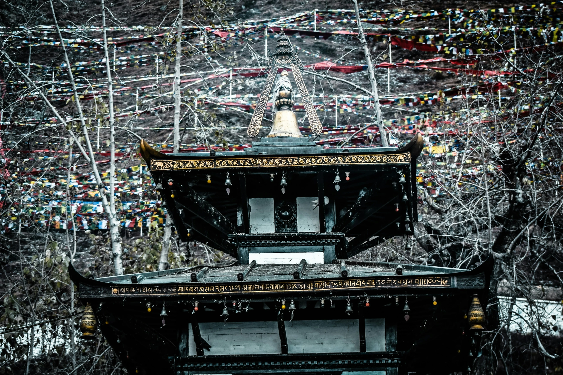 Itinerary: Lower Jomsom & Muktinath Trek