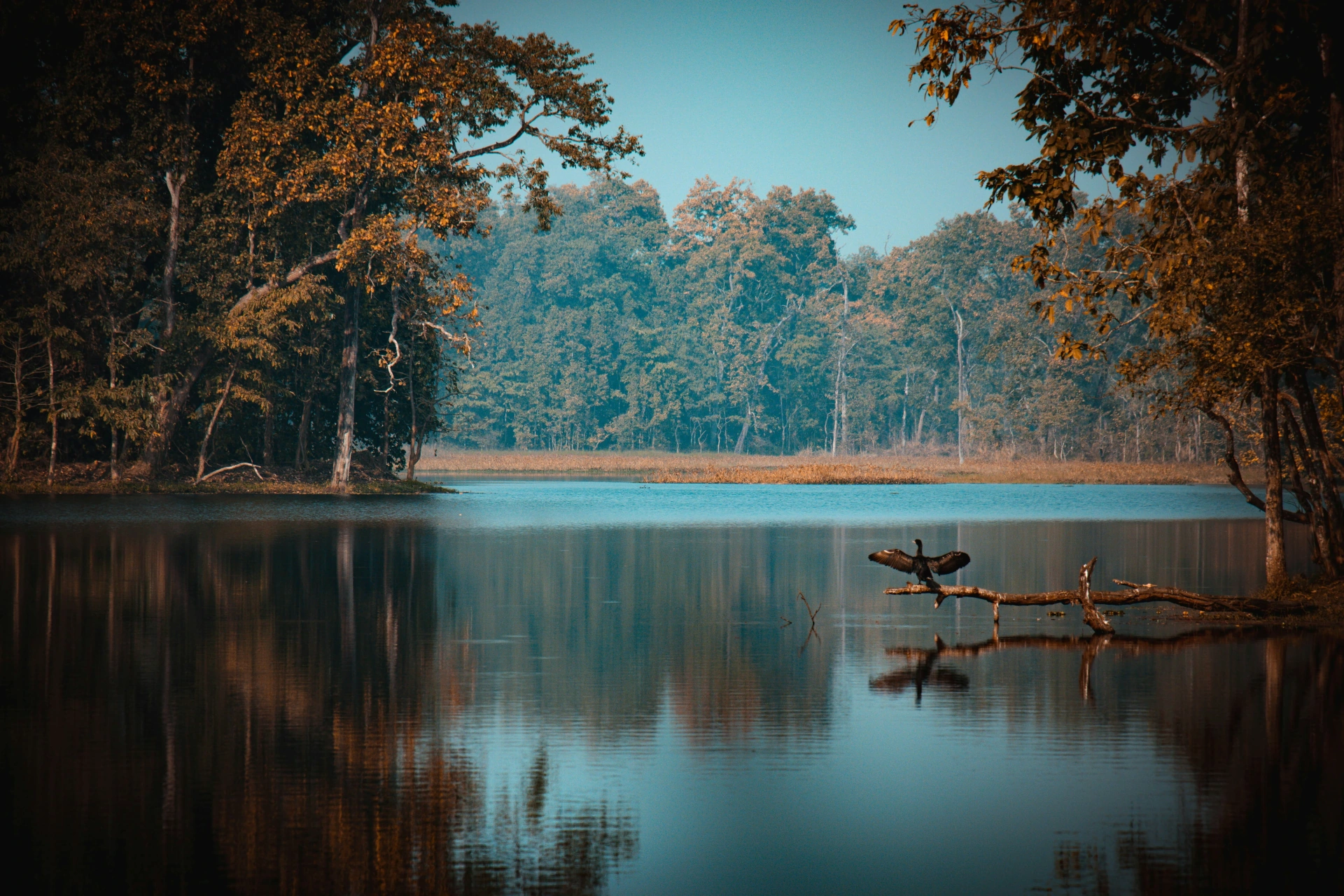 National Parks
